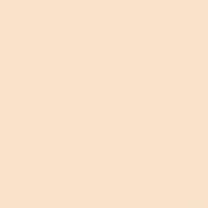 lee-filters-206r-roll-quarter-c-t-orange_1.jpg