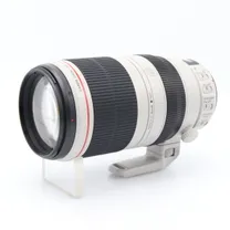 canon-ef-100-400mm-f-4-5-5-6-l-is-usm-ii-dr.jpg