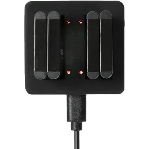 PDMovie-4-positions-LI-42B-battery-charger-USB-cable_3.jpg