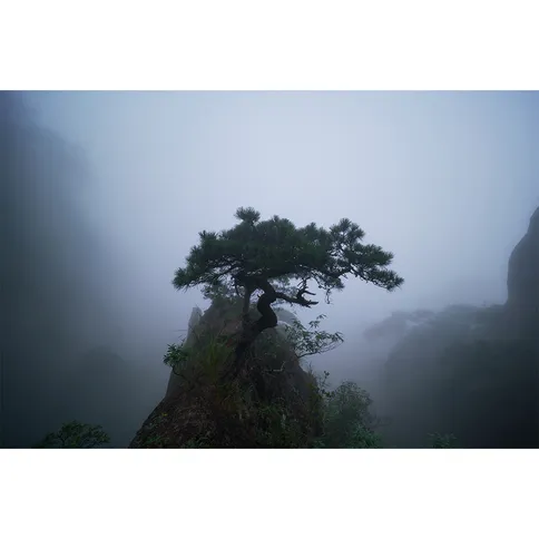 7Artisans-14mm-2.8-10.jpg