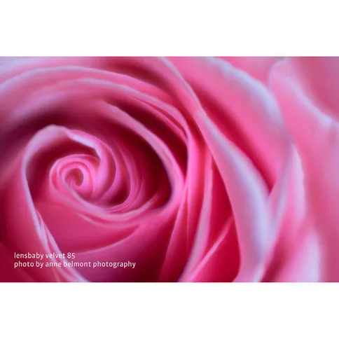 lensbaby_velvet_85_black_nikon_Z-7.jpg