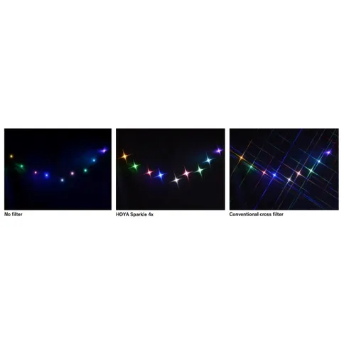Hoya_Sparkle_4x_4.jpg
