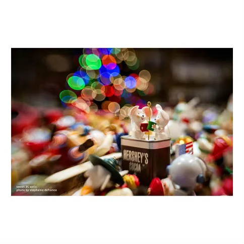 Lensbaby_composer_proii_canon3.jpg