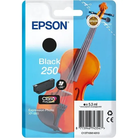 Epson-Singlepack-Black-250-ink_1.jpg