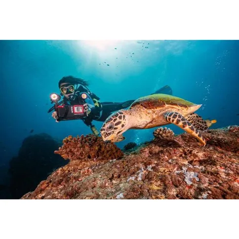SeaLife-Sea-Dragon-Duo-10K-Color-Boost-set_5.jpg