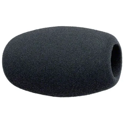 sennheiser-mzw-1.jpg