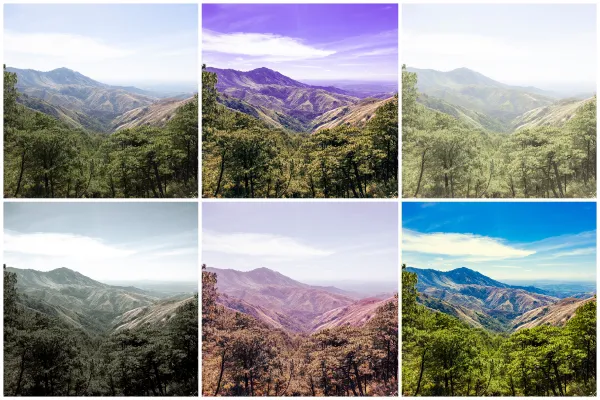 Color grading.webp