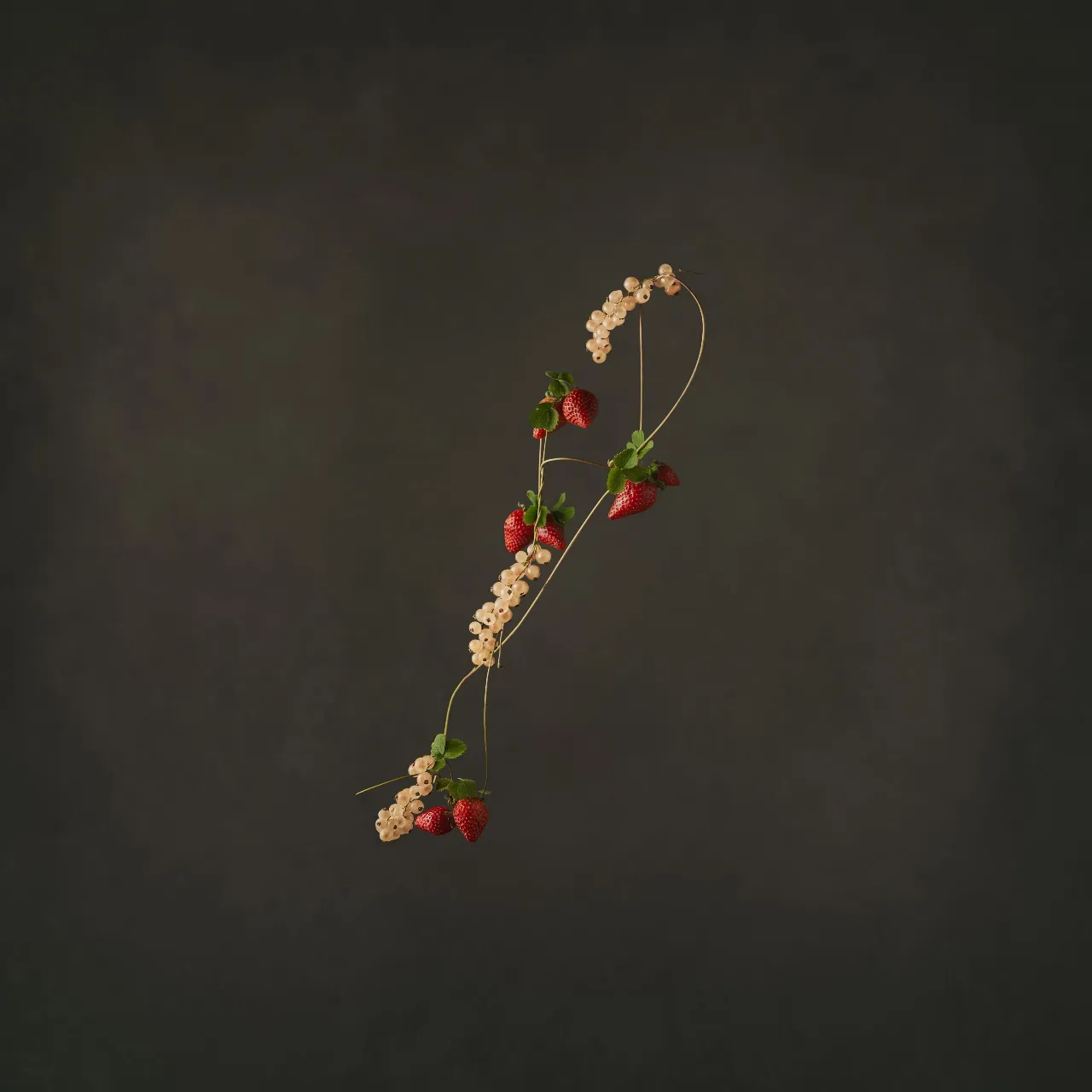 Berries-Marleen-Visser-Food-Photography-Styling.jpg
