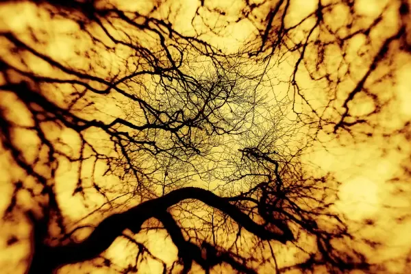 Pinhole photography.webp