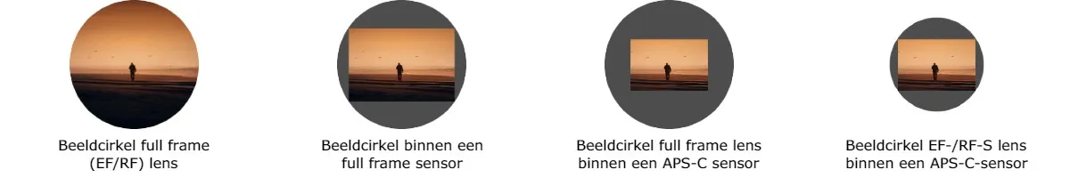 Foto_2_canon_ef_rf_lenzen_pagina_NL.jpg