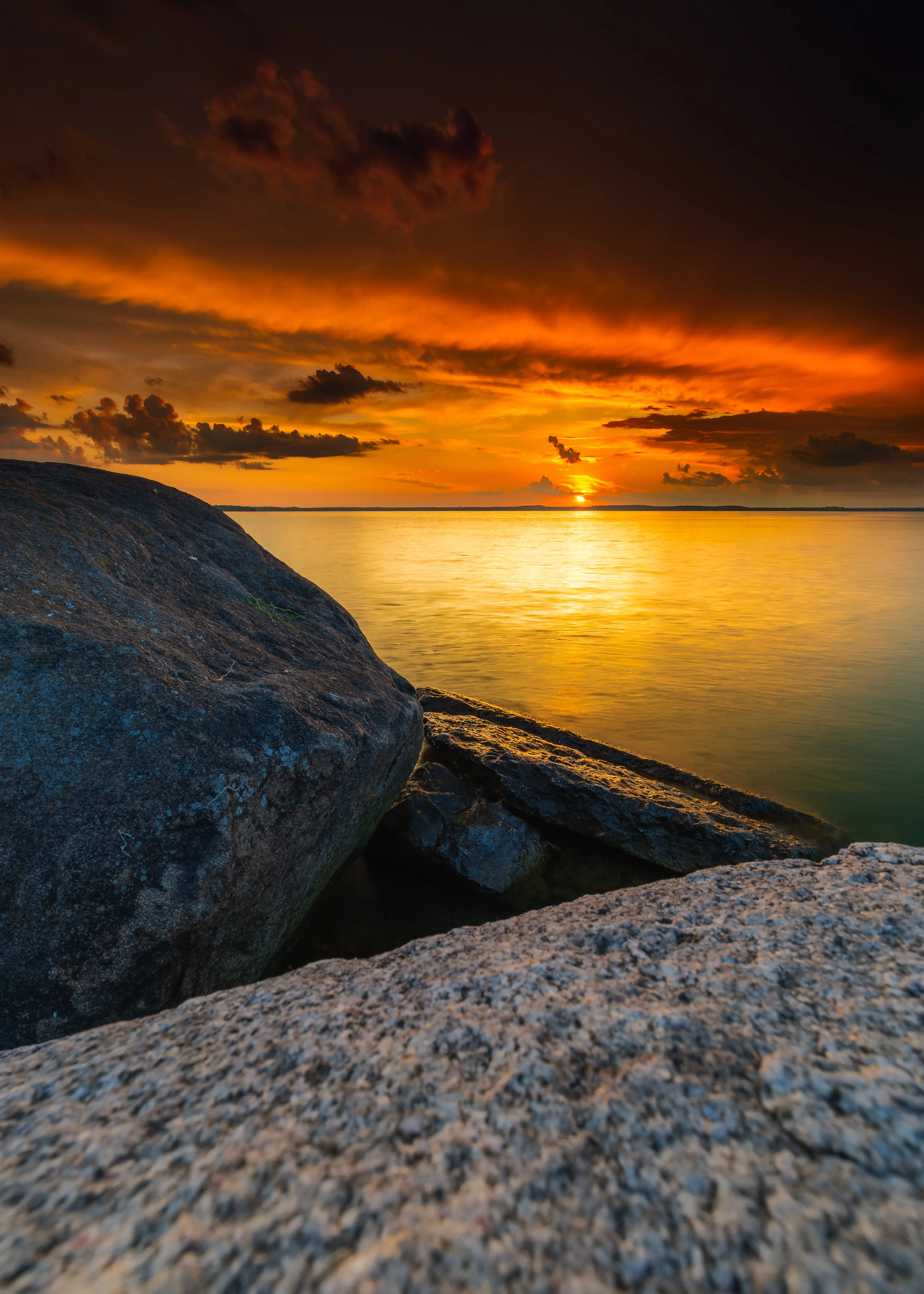 goldenhour 3.jpg