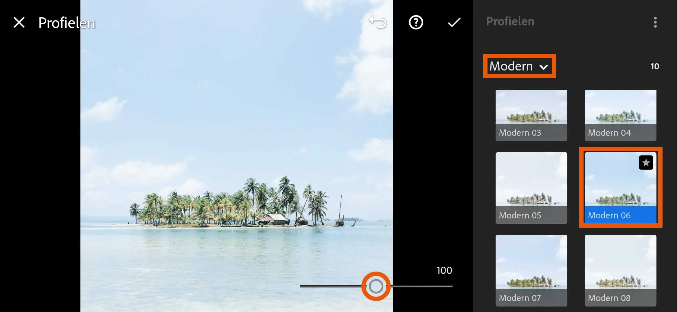 Lightroom_mobile_screenshot_4.jpg