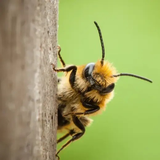 lente-bericht-musthaves.webp