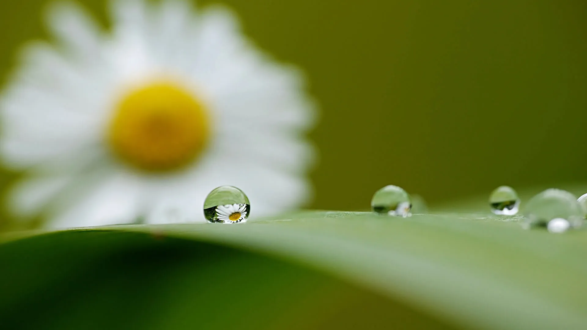 reflectie-in-druppels-fotograferen_3.jpg