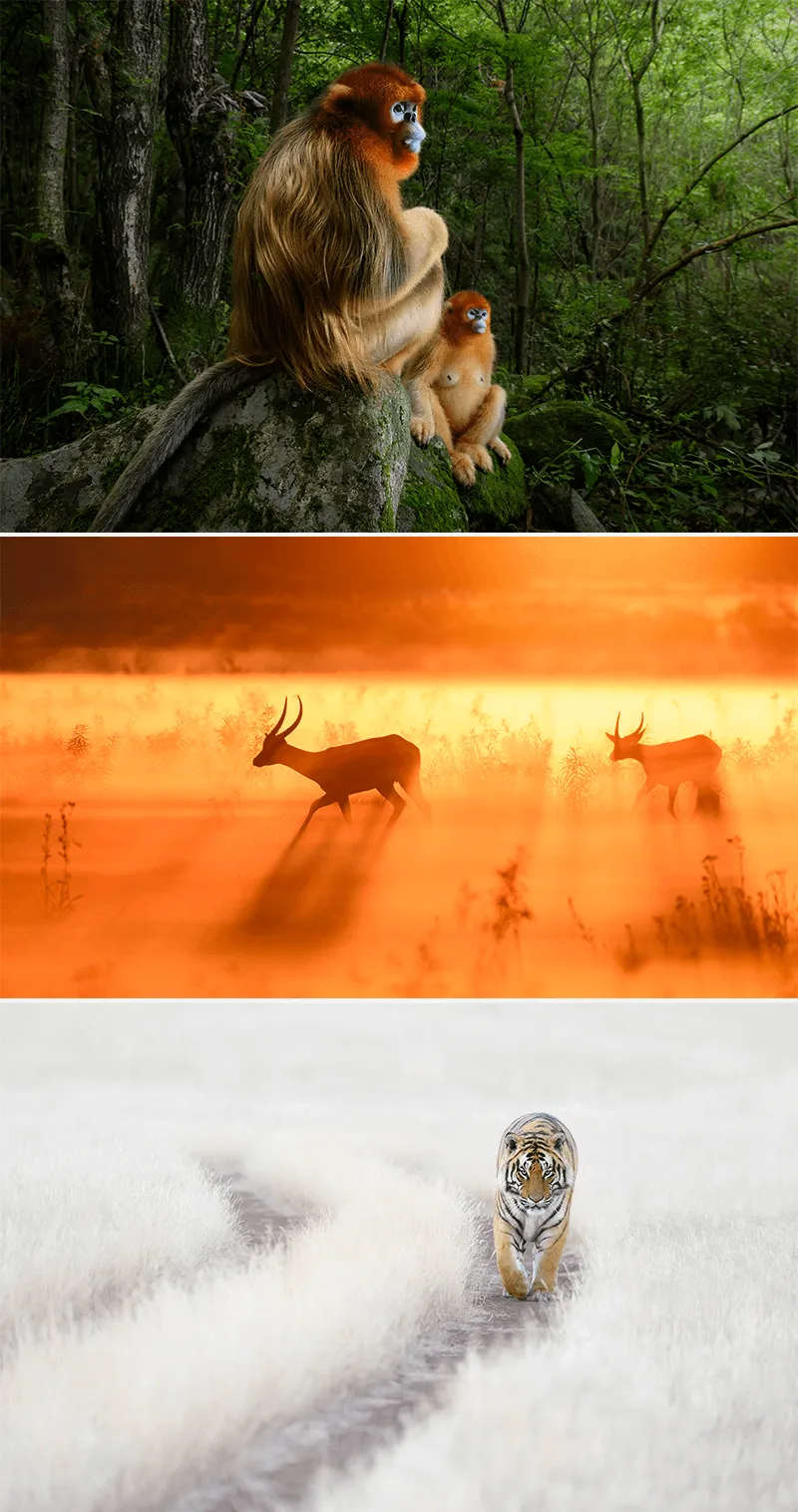 Maandthema-Dieren-Interview-Marsel-vanOosten-foto2.png