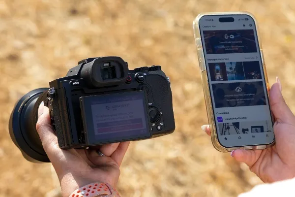 Sony_rx10v_inspo_pics_4.webp