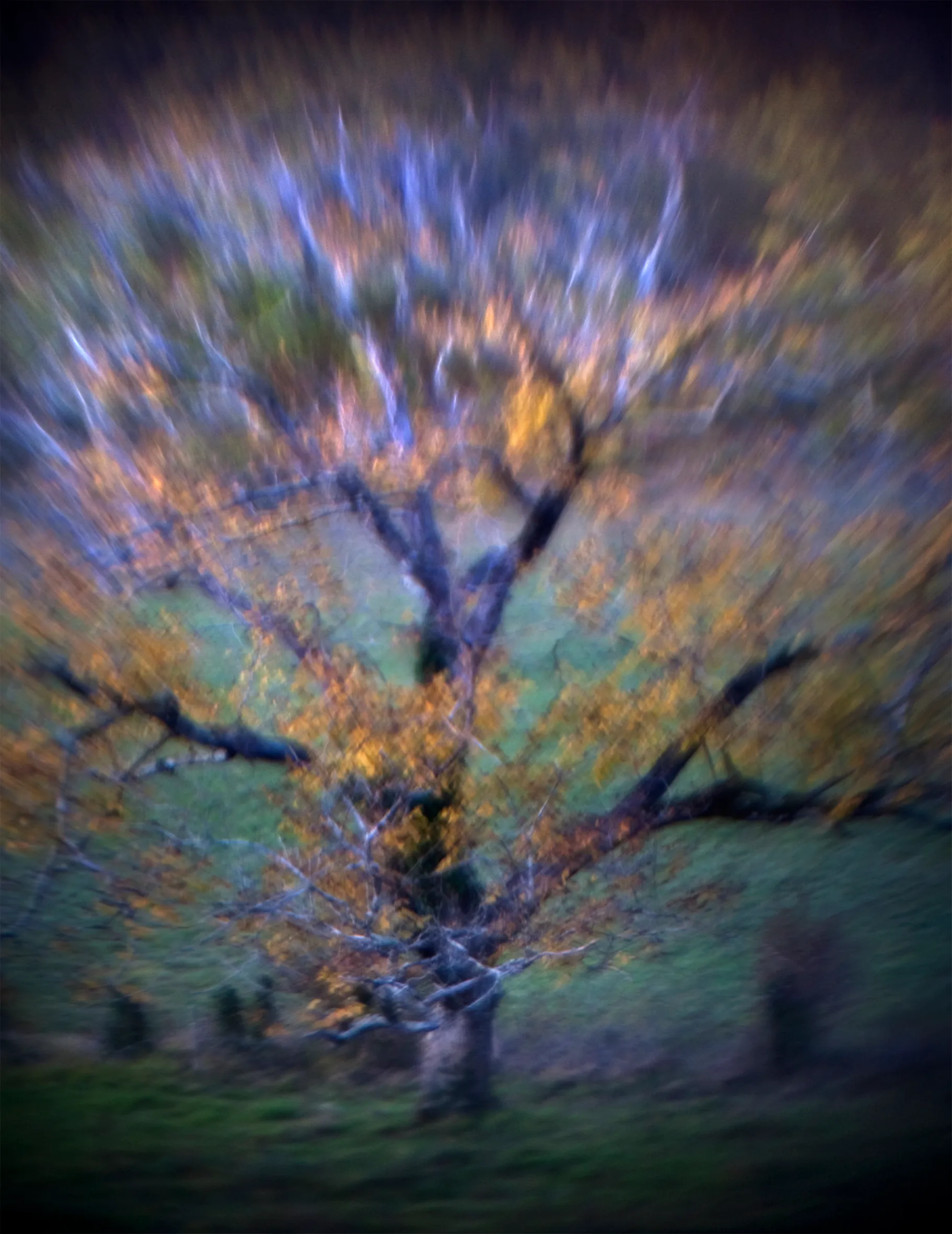 KE herfst0009.jpg
