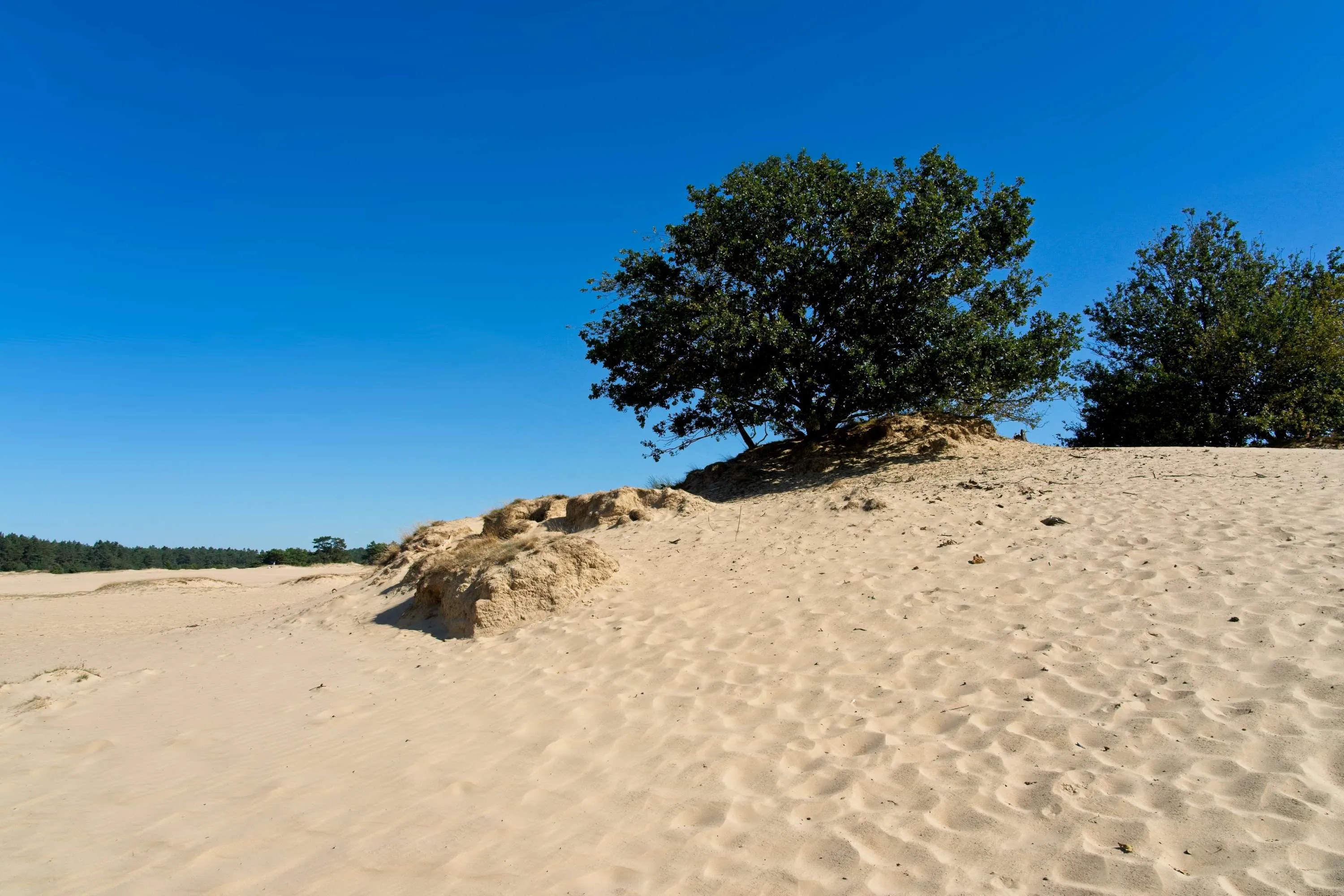 AdobeStock_418466867.jpg