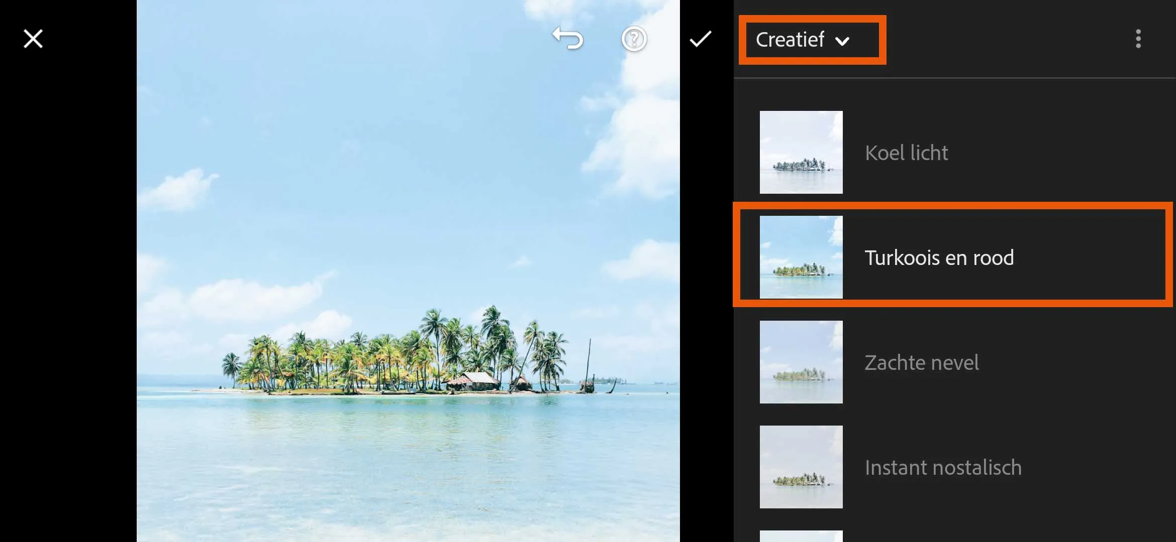 Lightroom_mobile_screenshot_13.jpg