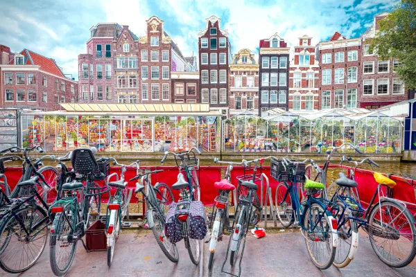 Bloemenmarkt Amsterdam.webp