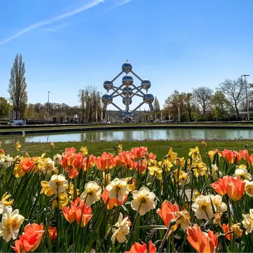 lente-bericht-locaties.webp