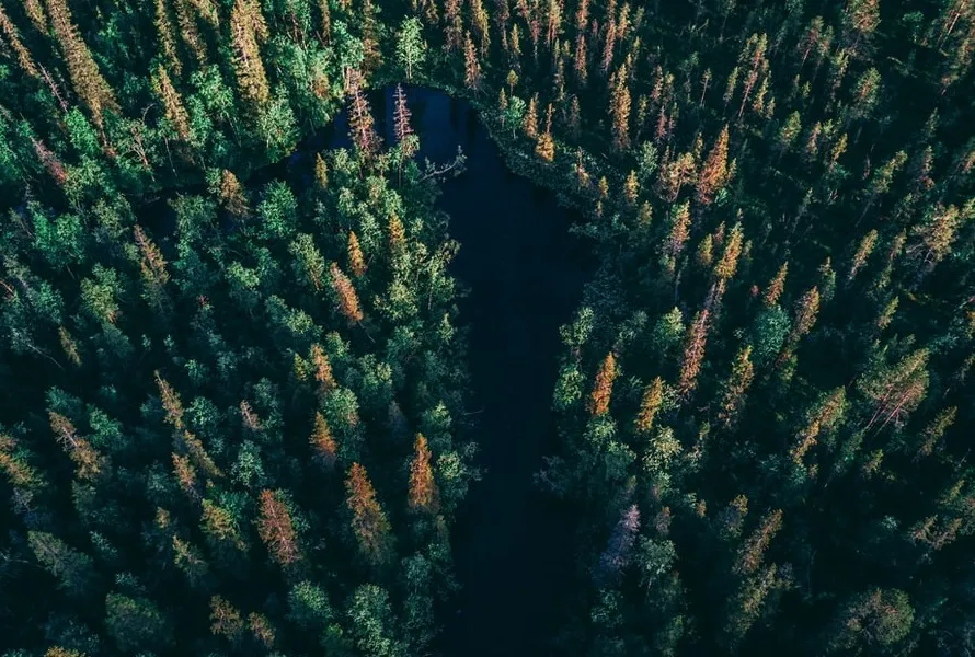 drone-2.jpg