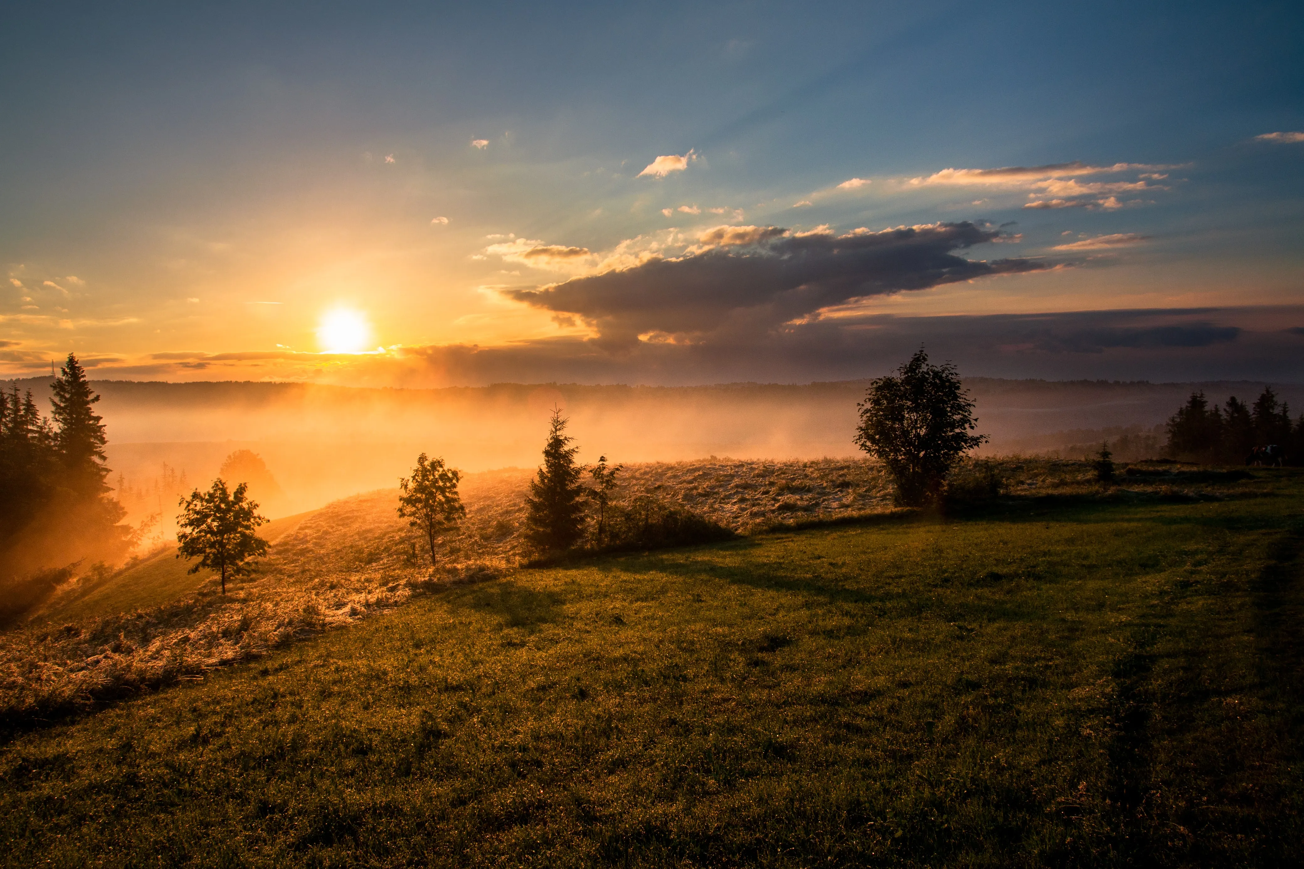 goldenhour 7.jpg