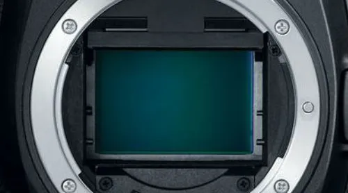 Full frame of crop sensor.jpg