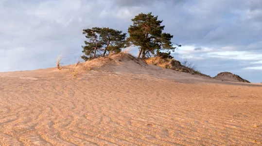 coi-landscape-7.jpg