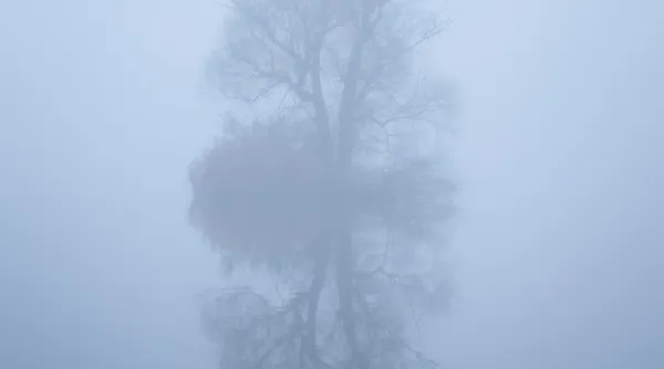 mist-dauw-blog-Henk-Jan-tip-1.webp