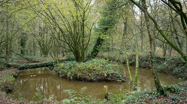Landgoed de Utrecht.jpg