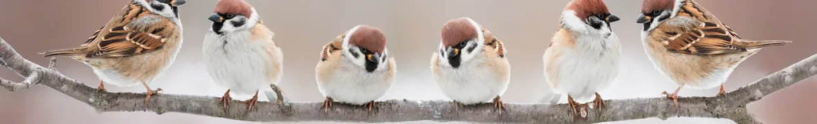 AdobeStock_247595262.jpeg