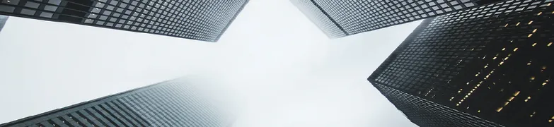 ke_tagbanner_groot_histogram.png