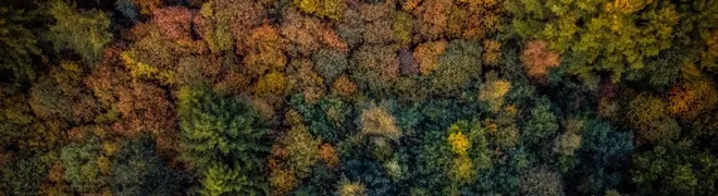 herfst-fotografie-tips.jpg