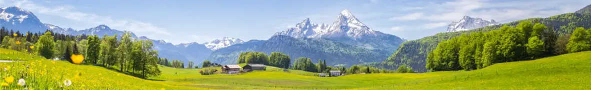 Panorama (1).webp