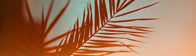 Paginaheader-analoog-keuzehulp.png
