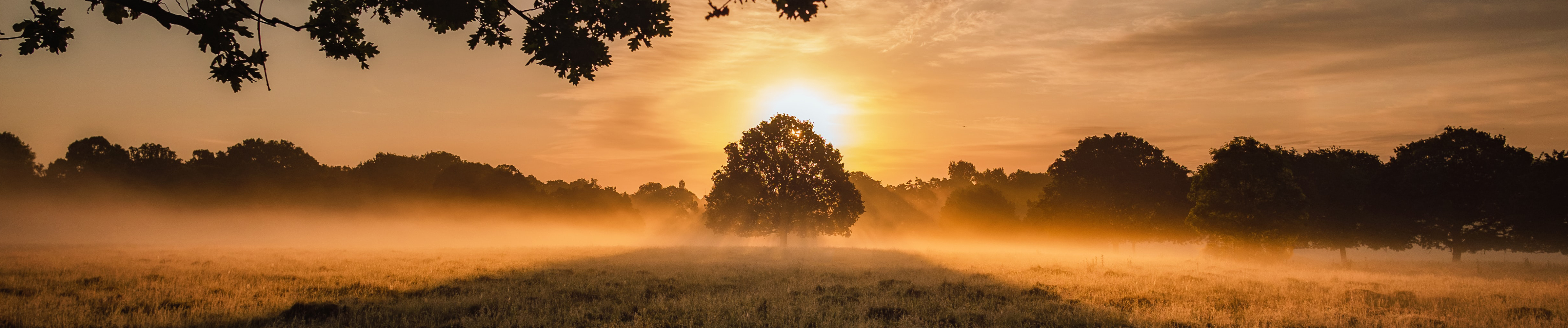 fotograferen met tegenlicht landschap