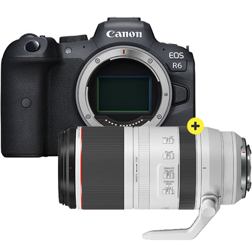 Canon EOS R6 body + RF 100-500mm F/4.5-7.1 L IS USM