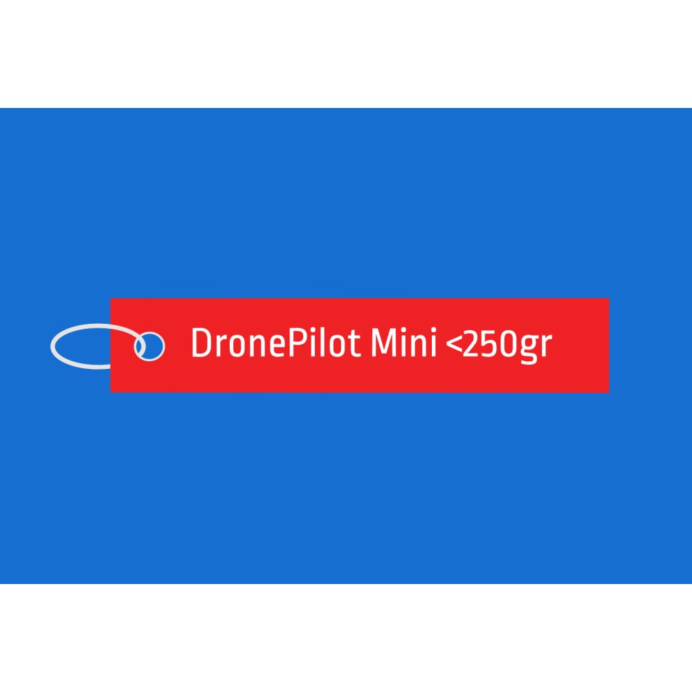 Droneflight Academy DronePilot Mini