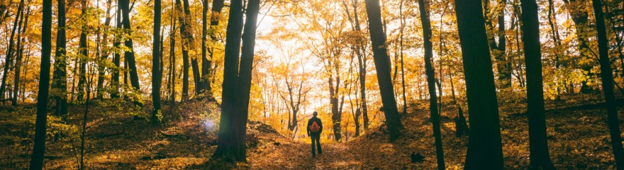 banner beweging wandelen