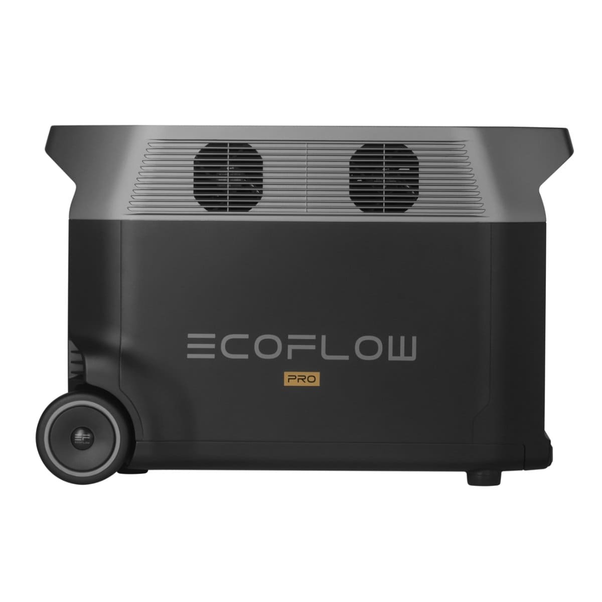 Ecoflow Delta Pro - Kamera Express