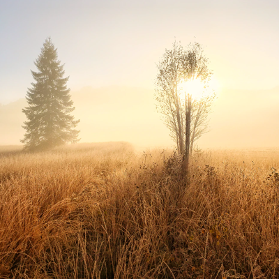 fotograferen-met-tegenlicht