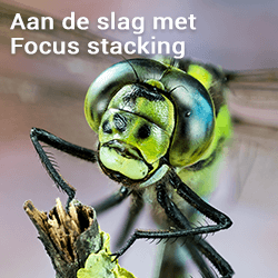 Focusstacking